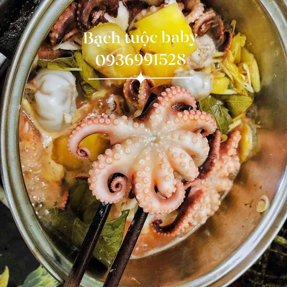 bach-tuoc-nho-3.jpg