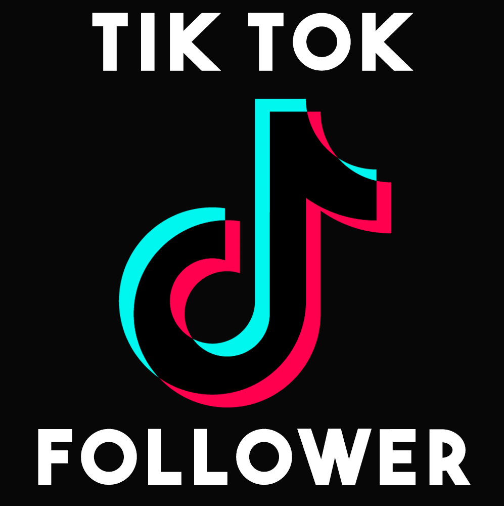 cach-tang-follow-tiktok-2.png