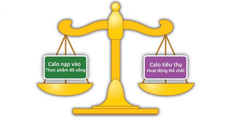 co-dia-kho-giam-can-3.jpg