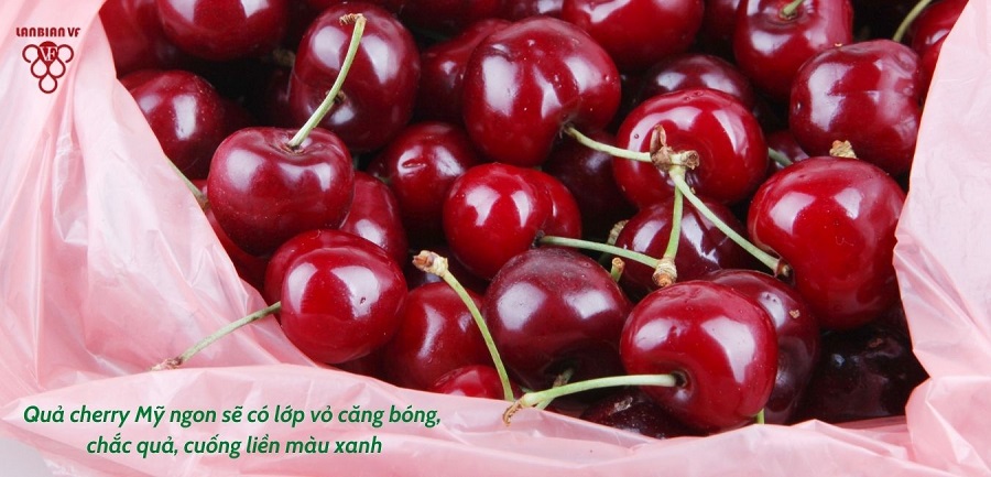 cung-lanbian-vf-dau-rung-kham-pha-9-cong-dung-than-ky-cua-cherry-my-2.jpg