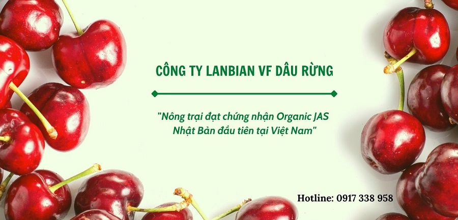 cung-lanbian-vf-dau-rung-kham-pha-9-cong-dung-than-ky-cua-cherry-my-5.jpg