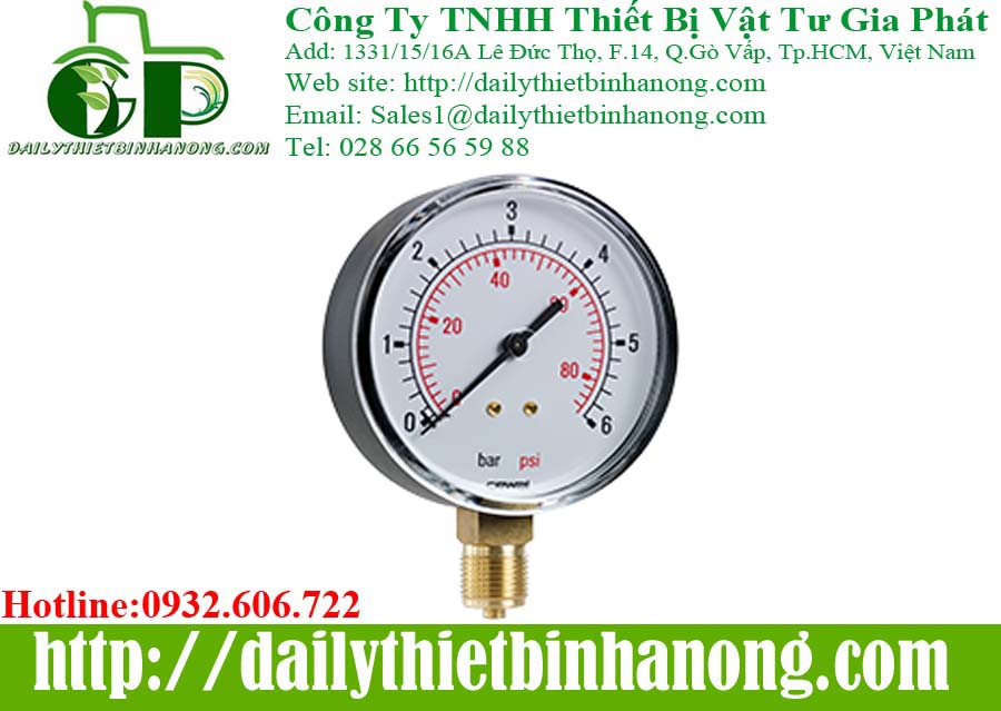 dong-ho-Cewal.jpg
