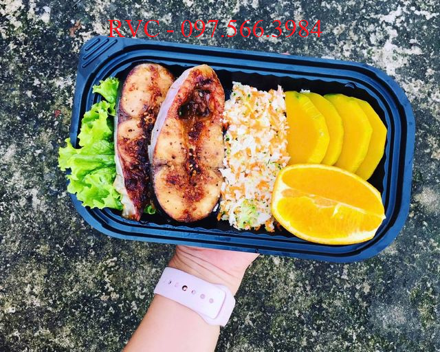 hop-nhua-ht17-rvc69.png