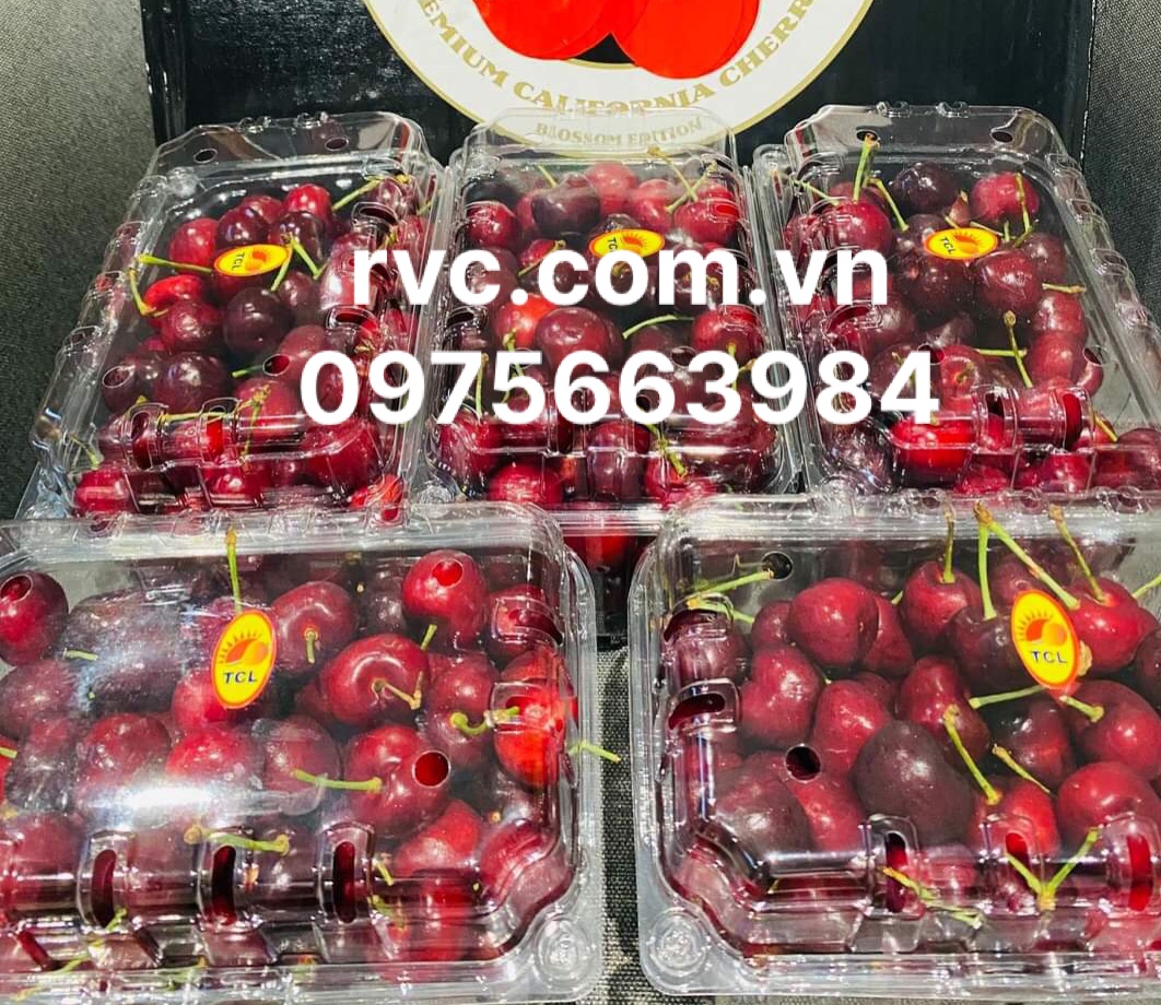 Hop_nhua_dung_cherry_25.jpg