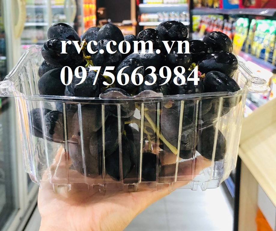 Hop_nhua_dung_nho_15.jpg