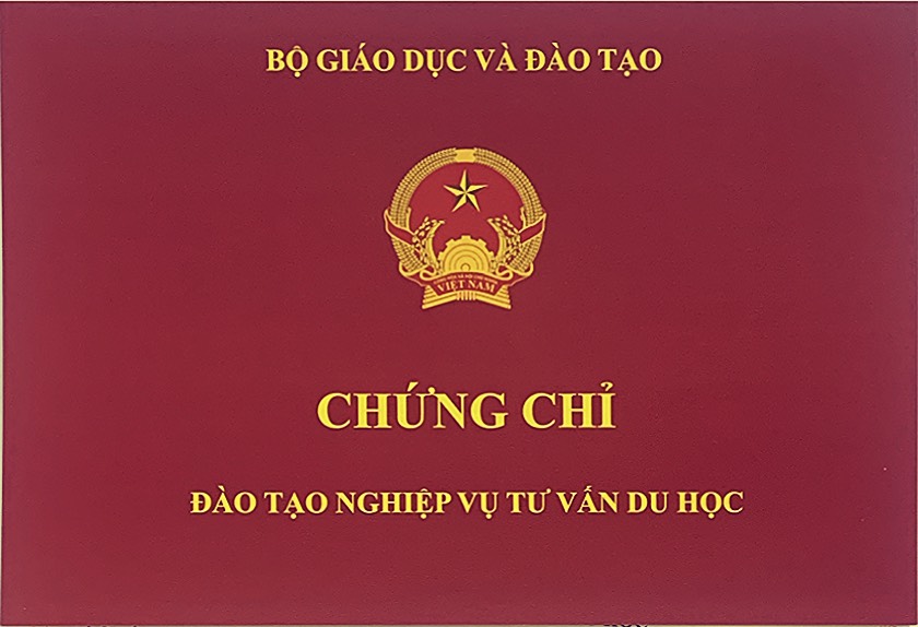 TVDH 1.jpg
