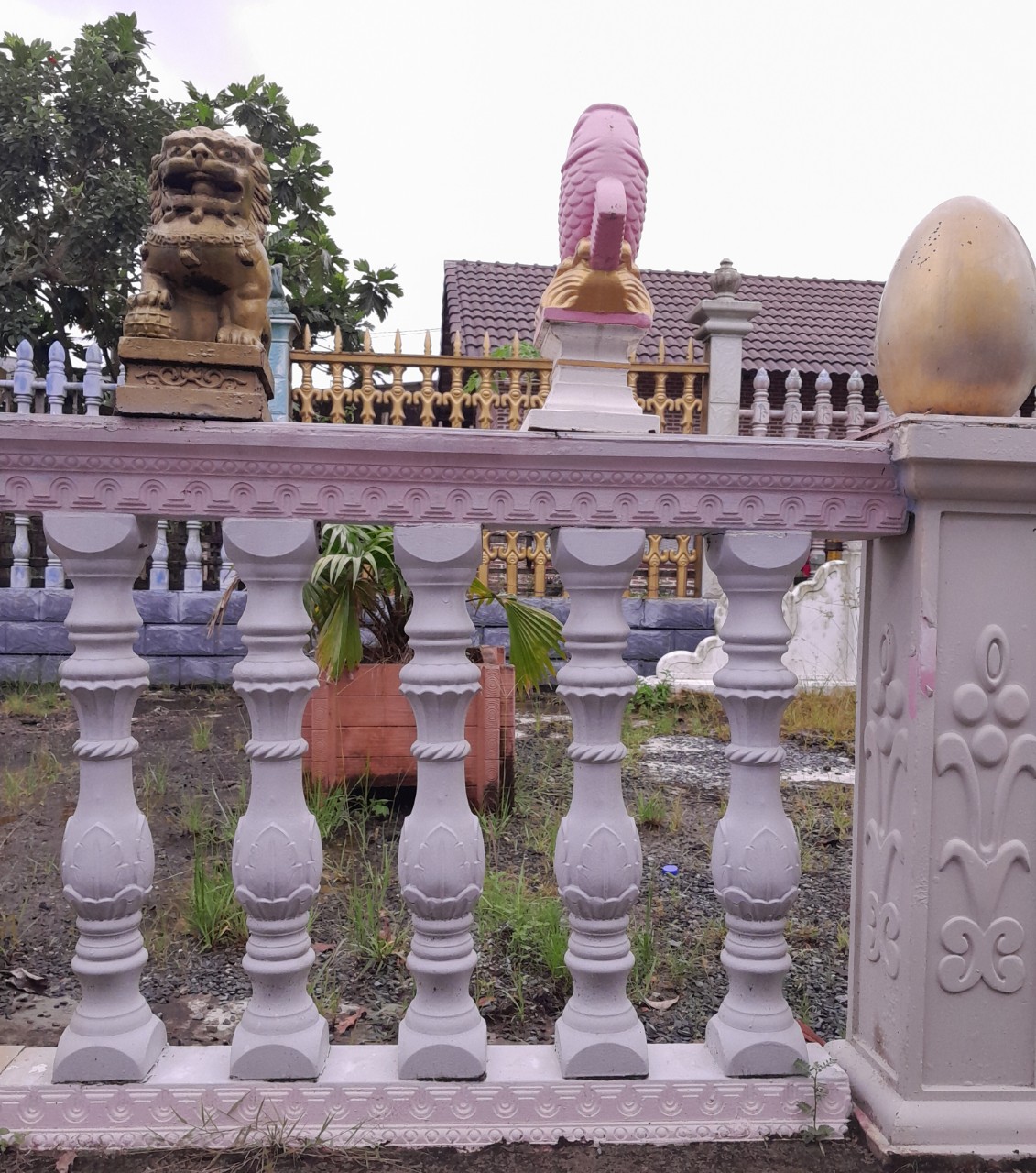 z3699699788488_dd071053de6aadc367e0d334689c7c6b.jpg