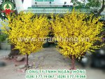 7934f7036e958dcbd484 - Copy.jpg