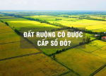 Đất ruộng có được cấp Sổ đỏ.png