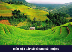 Điều kiện cấp Sổ đỏ cho đất ruộng.png