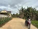 Lien-nghia-014012022001.jpg